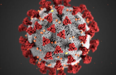 ＮＹ州、ＮＪ州及びＣＴ州による新型コロナウイルスの感染が拡大する地域からの移動に関する勧告（対象地域の追加と削除）